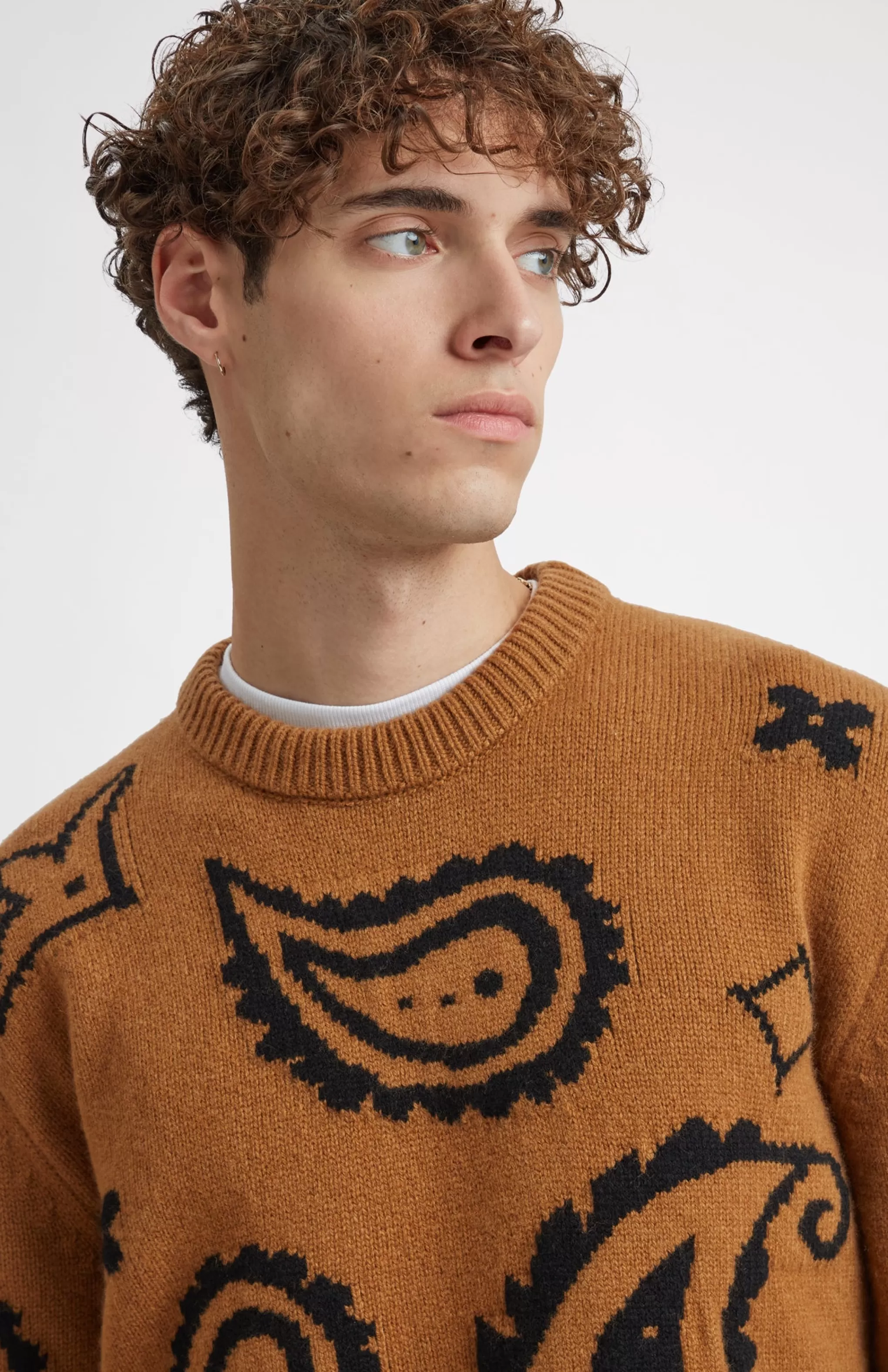 Fashion Lambswool Round Neck Jumper With Exploded Paisley Intarsia Pattern In Vicuna And Black Men Heavy Weight Knits