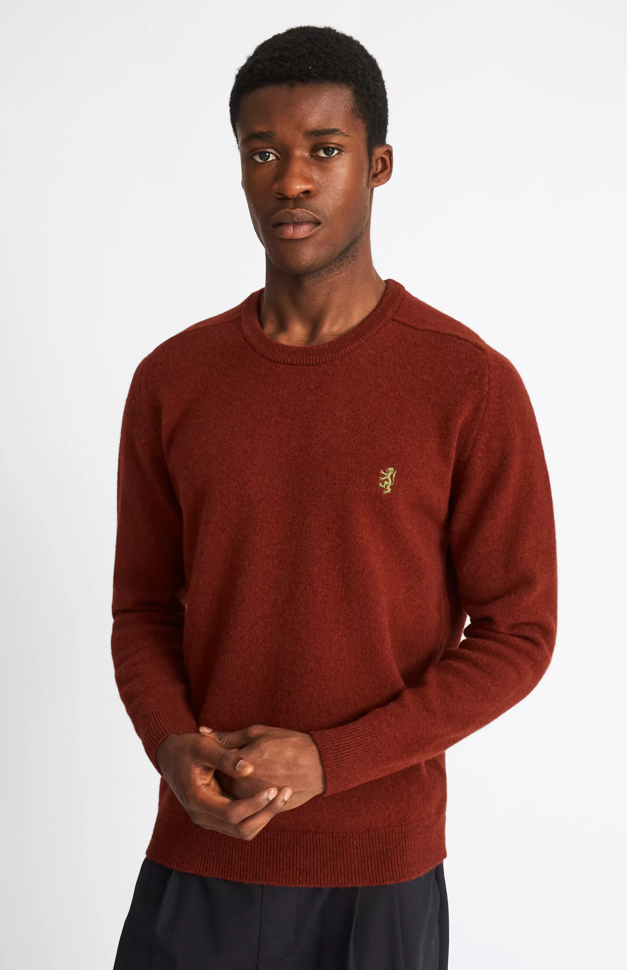 Store Round Neck Lion Lambswool Jumper In Red Rust / Mineral Green Men Jumpers